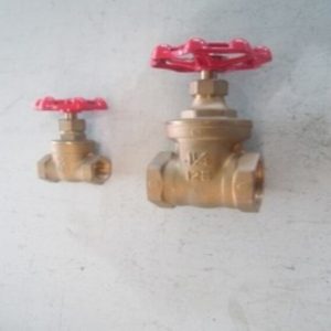 GLOBE VALVE (MC5)